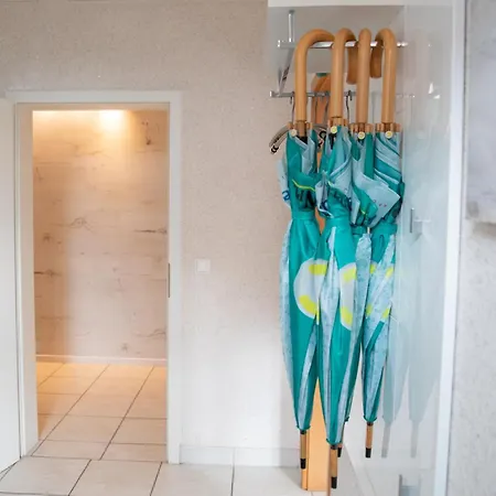 Viola Mit Wallbox Schneverdingen